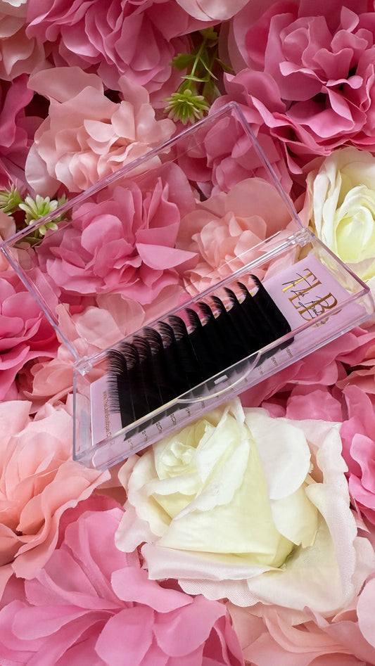 π TLB LASH TRAY ( volume ) π